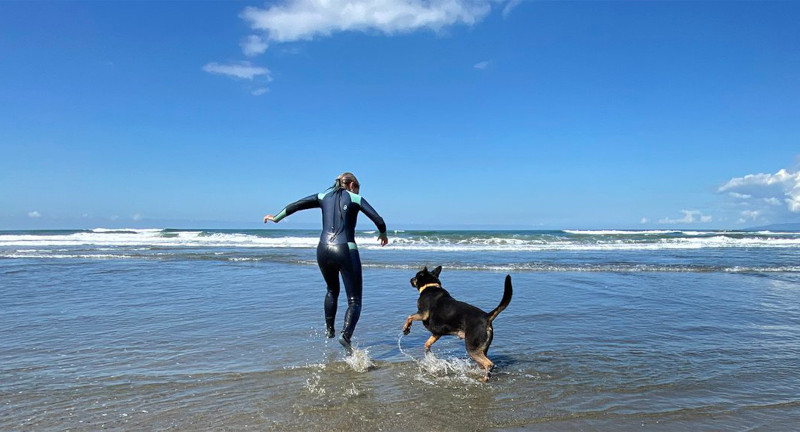 Ren and pal having an off-leash romp in the surf