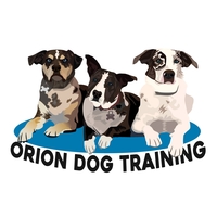 Business logo for Orion Dog Training