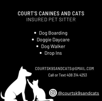 Business logo for Court's Canines and Cats