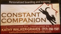 Business logo for Constant Companion, LLC